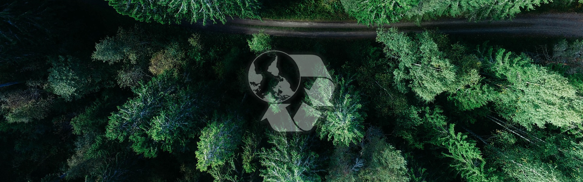las pokazany z góry ze znakiem recyklingu